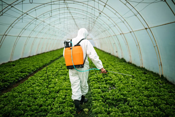 Best Best Pest Control Companies  in Fox Island, WA