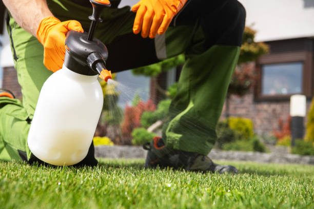Best Rat Extermination Near Me  in Fox Island, WA