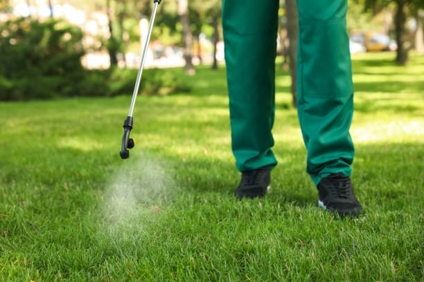 Best Residential Pest Control  in Fox Island, WA