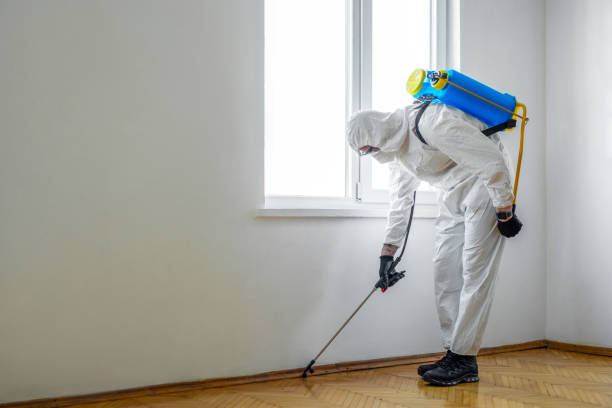 Best Exterminator Services  in Fox Island, WA