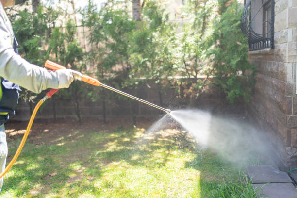 Best Termite Control Services  in Fox Island, WA