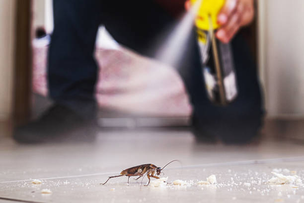 Best Affordable Pest Control Services  in Fox Island, WA