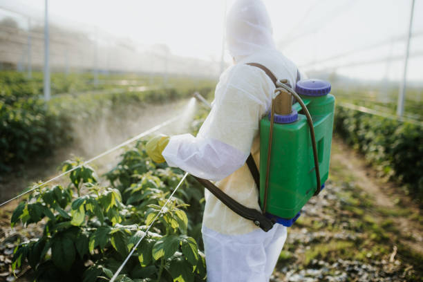 Reliable Fox Island, WA Pest Control Solutions